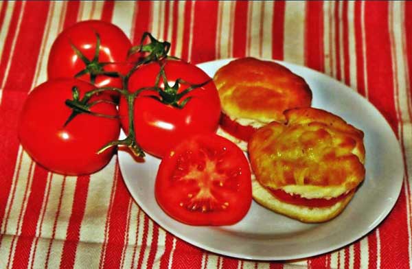 tomato biscuit