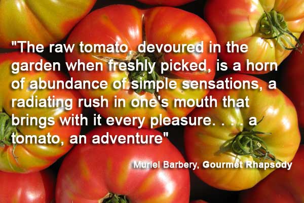 Homegrown Tomatoes – Yummy!