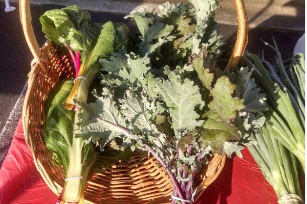 The Farmer’s Market